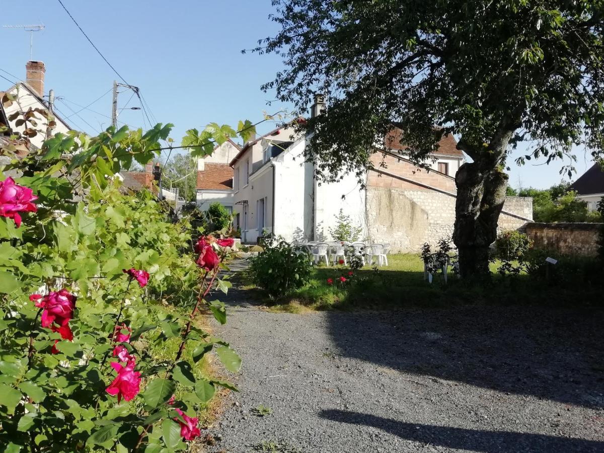 Tribu Du Zoo Aignan Centre 3ch Jardin Et Parking Prive Clos De Murs